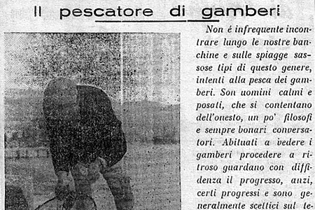 Il pescatore di gamberi
